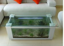 風(fēng)水文化：家居風(fēng)水學(xué)中養(yǎng)魚的禁忌
