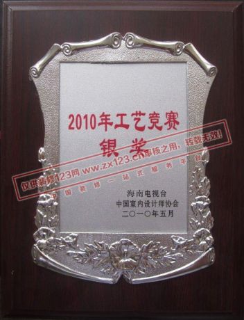 2010年公益竞赛银奖