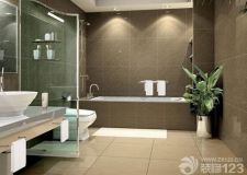 衛(wèi)浴潔具在衛(wèi)浴間的配備有哪些？其材料又是怎樣的？