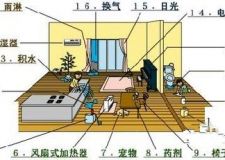木地板保養(yǎng)最新知識(shí)匯總，了解最新保養(yǎng)妙招