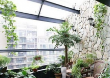 五種陽臺植物開旺陽臺裝修風(fēng)水