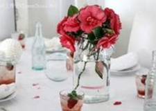 室內(nèi)植物擺設(shè)風(fēng)水：鮮花巧放擋是非