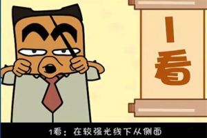 哪種材料最合適
