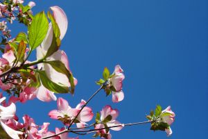 裝修的旺季