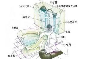 抽水马桶水箱结构图