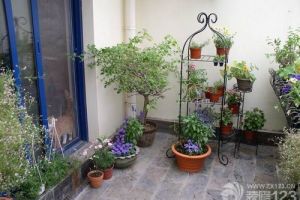 阳台小花园