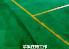 蘋果裝飾：2014盛大起航