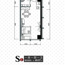 天一大厦·天天公寓户型图SI户 面积:49.57m2