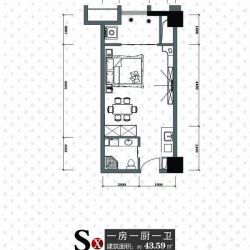 天一大厦·天天公寓户型图S10户 面积:43.59m2