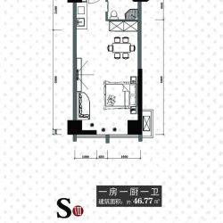 天一大厦·天天公寓户型图S8户 面积:46.77m2