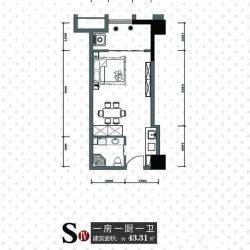 天一大厦·天天公寓户型图S4户 面积:43.31m2