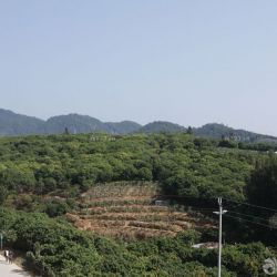 望谷·温泉小镇实景图