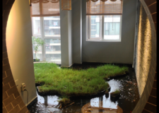 晶港裝飾