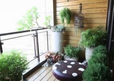 阳台菜园——一种新的生活方式