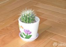 復(fù)合木地板施工工藝