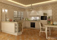 欧式整体厨房效果图带来的另类风格