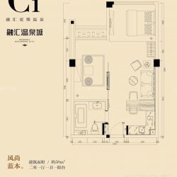 融汇温泉城户型图SOHO C1 2室1 面积:58.00m2