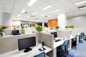 辦公室適宜放些什么植物