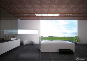 沉稳风格浴室铝扣天花板设计效果图