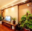 120平方户型东南亚风格客厅电视组合柜图片