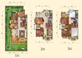 最新三层独栋别墅户型图