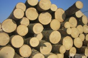 冬季裝修細(xì)節(jié)