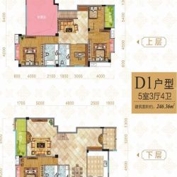 华享雕墅户型图2号楼D1户型 5室 面积:246.36㎡