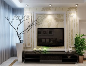 6平米電視背景墻 現(xiàn)代家居 