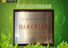 綠色整裝放心工程 林鳳裝飾啟動(dòng)環(huán)保整家托管裝修計(jì)劃