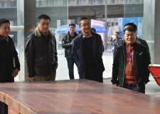 成都市成華區(qū)區(qū)政府領(lǐng)導(dǎo)蒞臨我公司視察指導(dǎo)工作