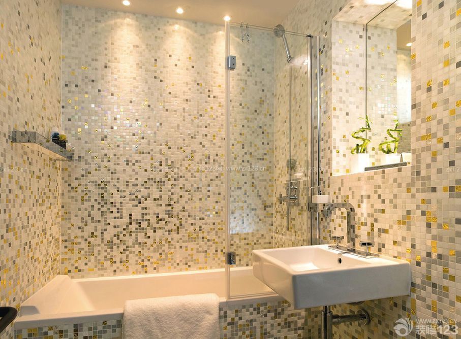 家庭浴室小格子砖墙面设计图片 
