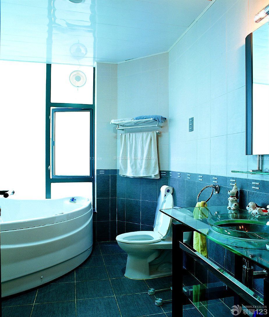 小户型浴室浴巾架设计图片