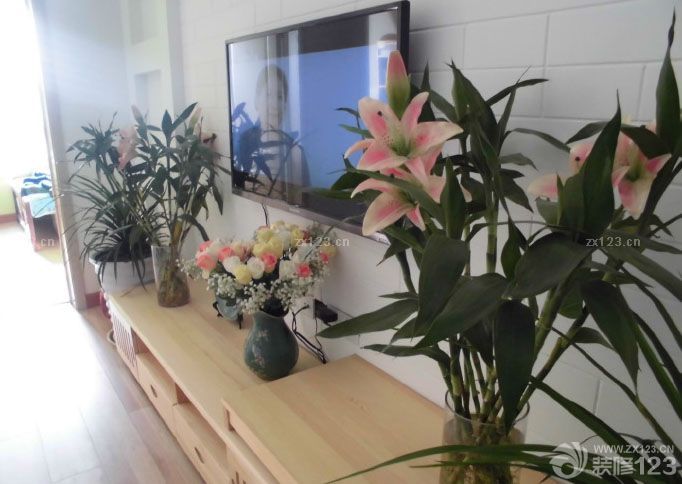 房子歷時幾個月的裝修，裝裝停停的，如果單找工人干活還快一點(diǎn)，裝修公司就是慢。裝完之后又涼了近3個月，放了好多炭包和花草來除甲醛。月初搬進(jìn)去了 還好味道基本上沒了。廢話少說上圖吧。雖說拍照技術(shù)不咋地。