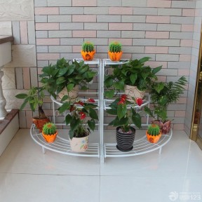 陽臺花架 115平米