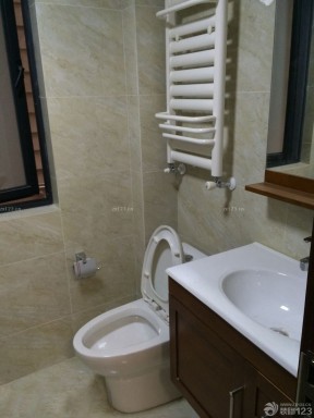 衛(wèi)生間毛巾架 小戶型住宅