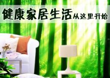 健康家居生活&mdash;&mdash;數(shù)字標(biāo)準(zhǔn)