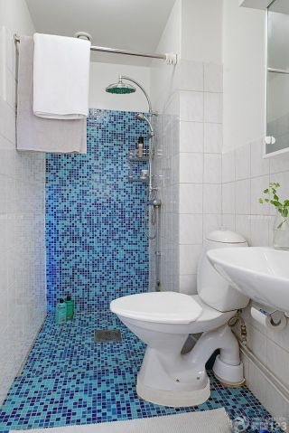 卫生间蓝色马赛克瓷砖地面