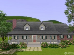 农村房屋设计图片大全 一层半别墅