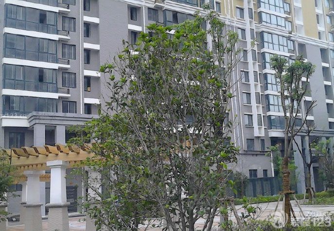 剛拿到鑰匙就迫不及待的去了我們的小區(qū)和新家看房子，為的是能更好的裝修出我們喜歡的風(fēng)格和樣式，先來看看前期的照片吧。