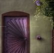 家庭室内紫色门装修图片