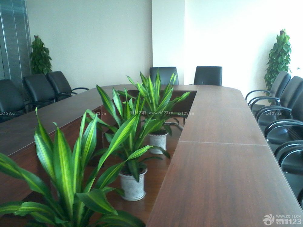 公司会议室办公桌植物设计图欣赏_装信通网效果图