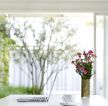 家装客厅办公桌植物设计图片