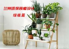 蘭州環(huán)保裝修設(shè)計&mdash;&mdash;9款家居吸毒明星植物！