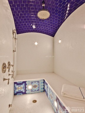 淋浴房喷头蓝色砖墙吊顶设计效果图