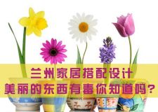 蘭州家居搭配設(shè)計(jì)&mdash;&mdash;家中擺放13種綠色植物會(huì)致命