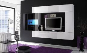 小公寓装修效果图 黑白电视背景墙