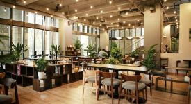 福州五星裝飾好不好 福州五星裝飾口碑怎么樣