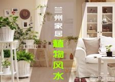 蘭州家居植物風水篇&mdash;&mdash;植物招財化煞的好工具
