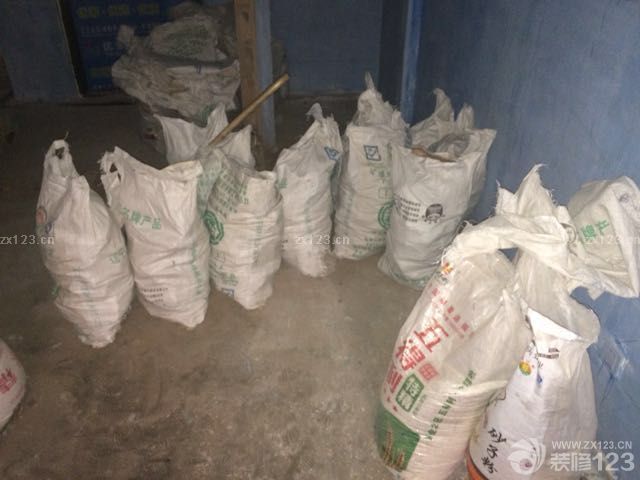 晚上跟老爸又去工地看了一眼，力工宋師傅他們已經(jīng)開始干活了，哈哈哈，大墻被推倒了，真敞亮！附上一張陽臺正面對著的噴水池！