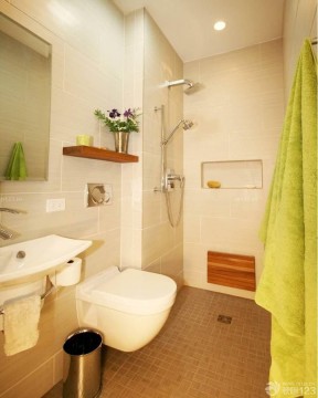 小户型浴室浴巾架装修效果图片